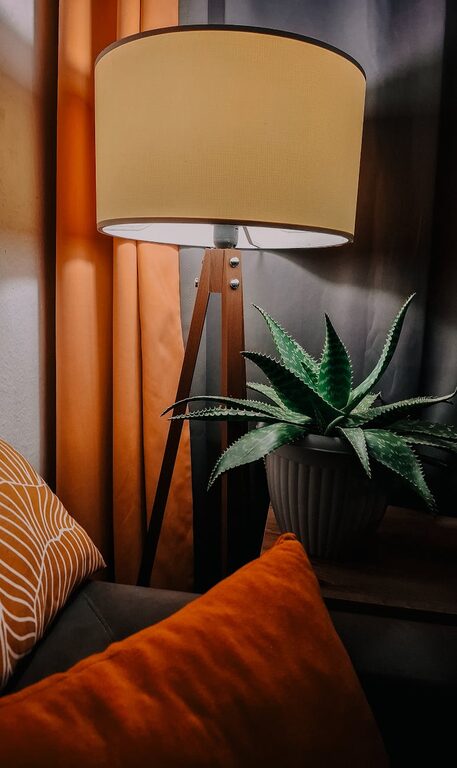 Tips for Creating a Cosy and Welcoming Home Environment on a Budget
